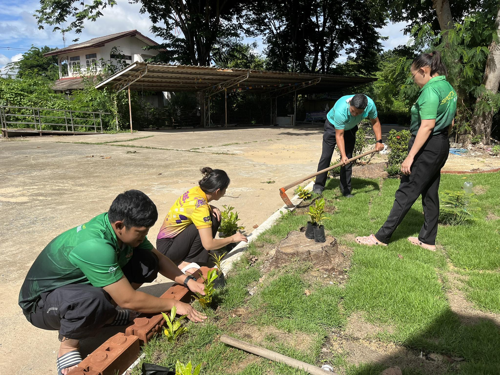 379728533 782556560338157 4686385654172388791 n