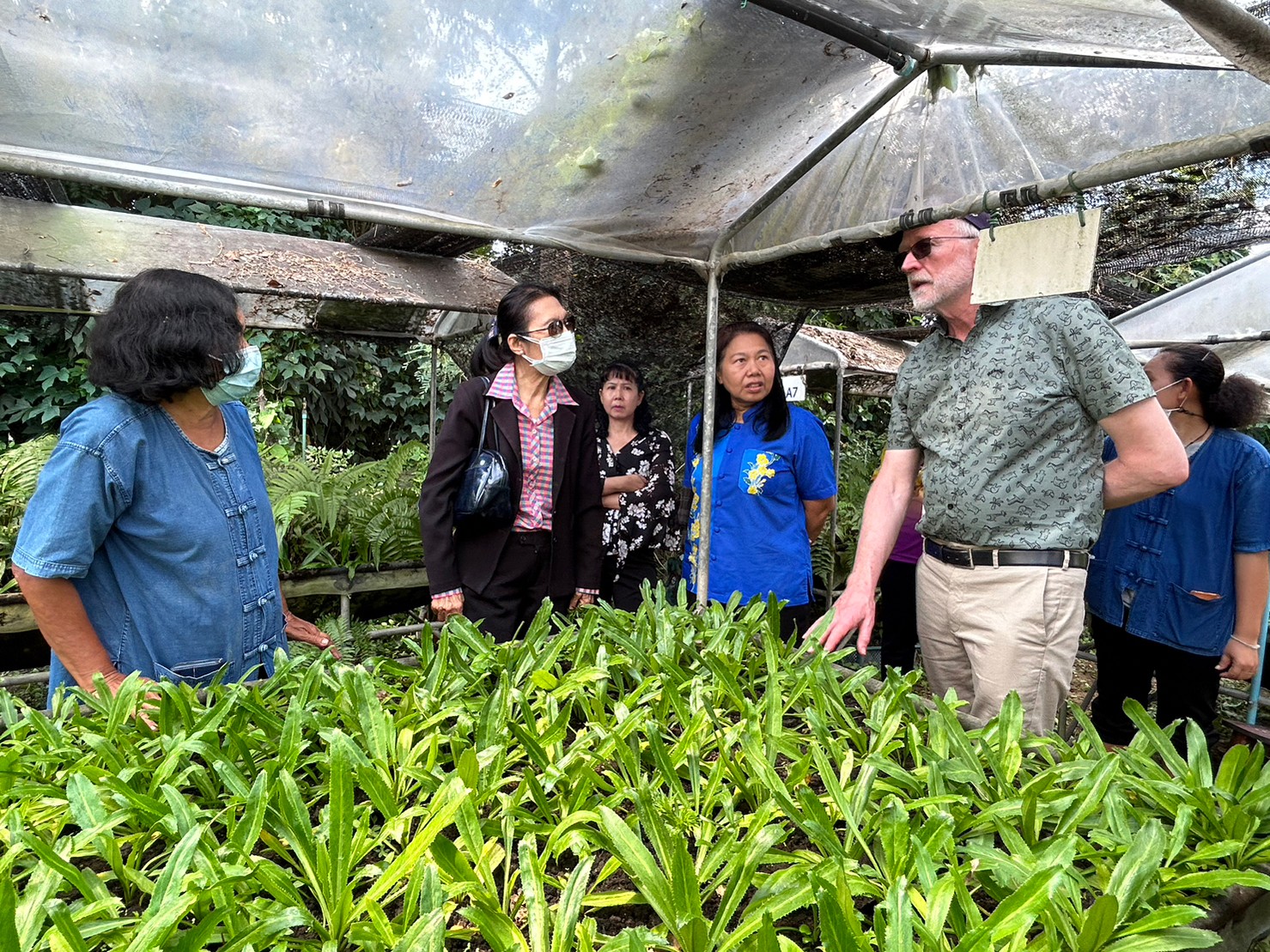 397615253 804773198116493 3132886848392401825 N