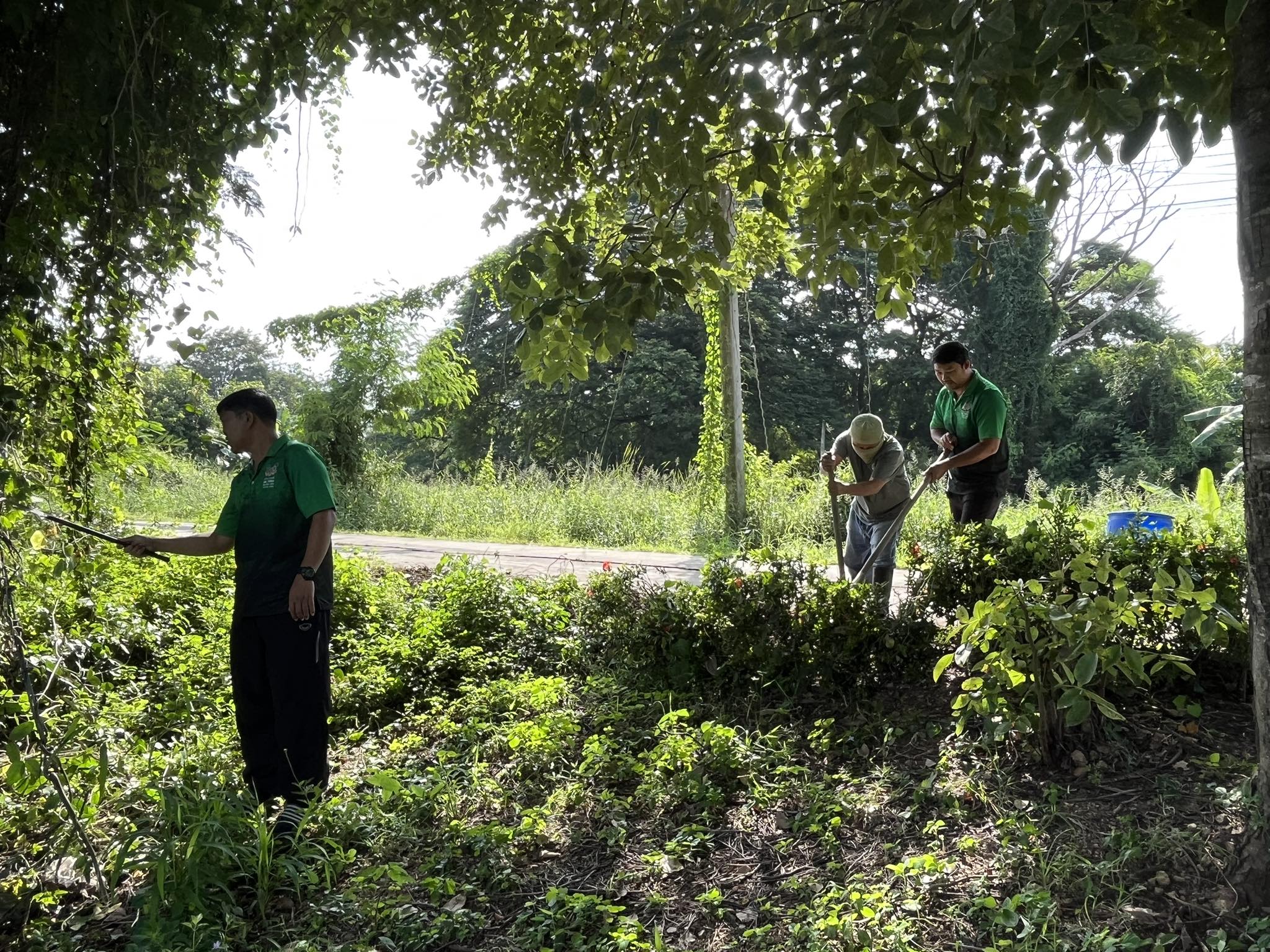 397874825 805895528004260 3124950752742129947 N