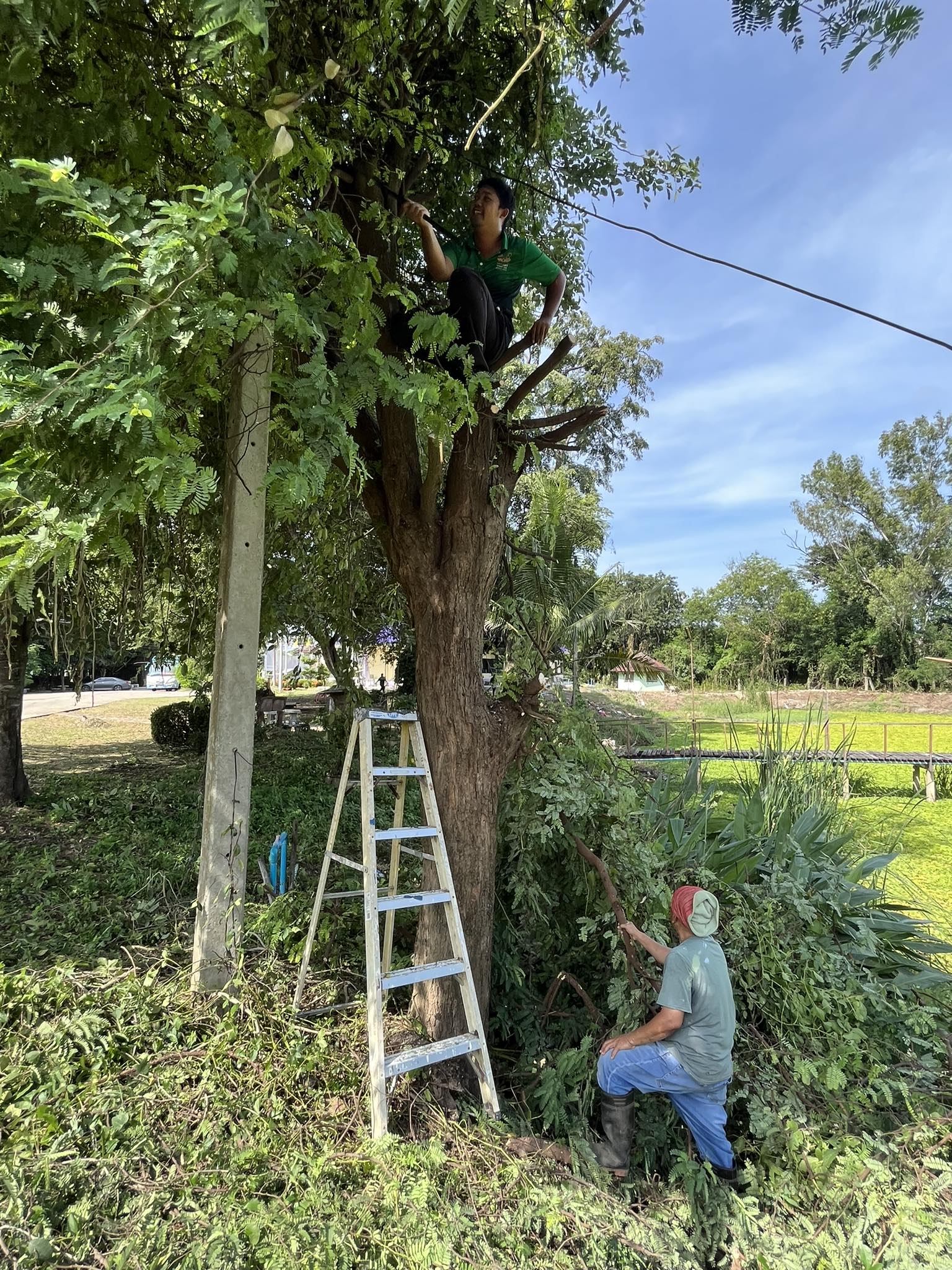 398218586 805895591337587 354750694168434080 N