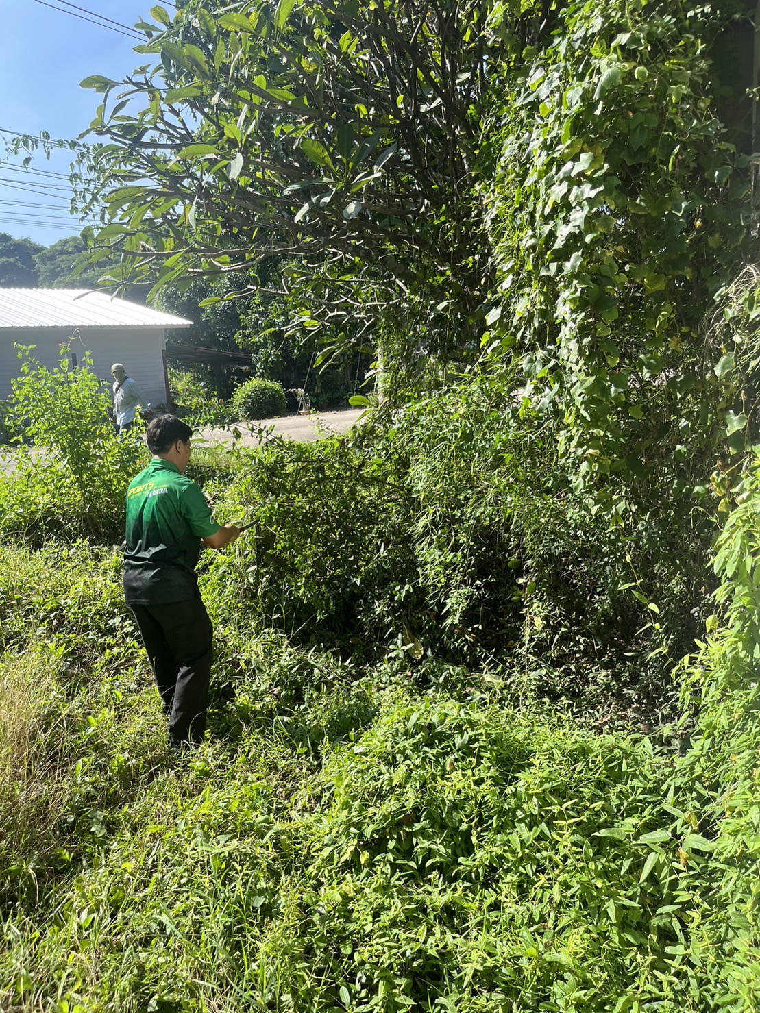 399948062 809512390975907 5049887342707599444 N