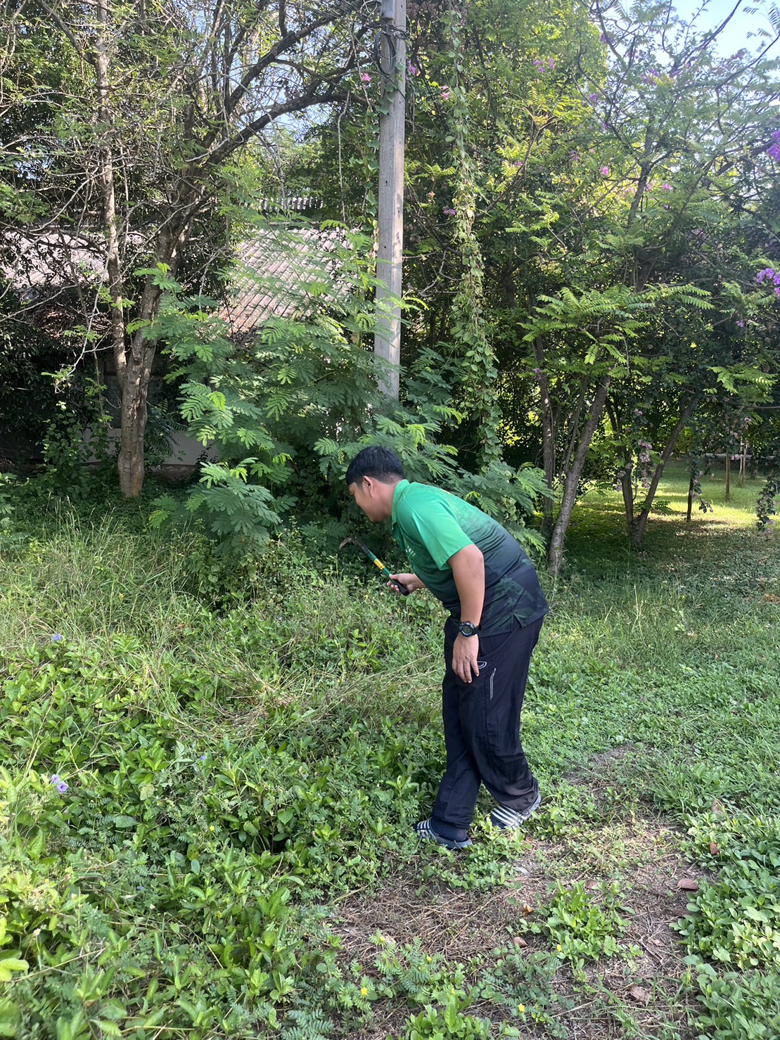 399968296 809512357642577 6231080279606887298 N