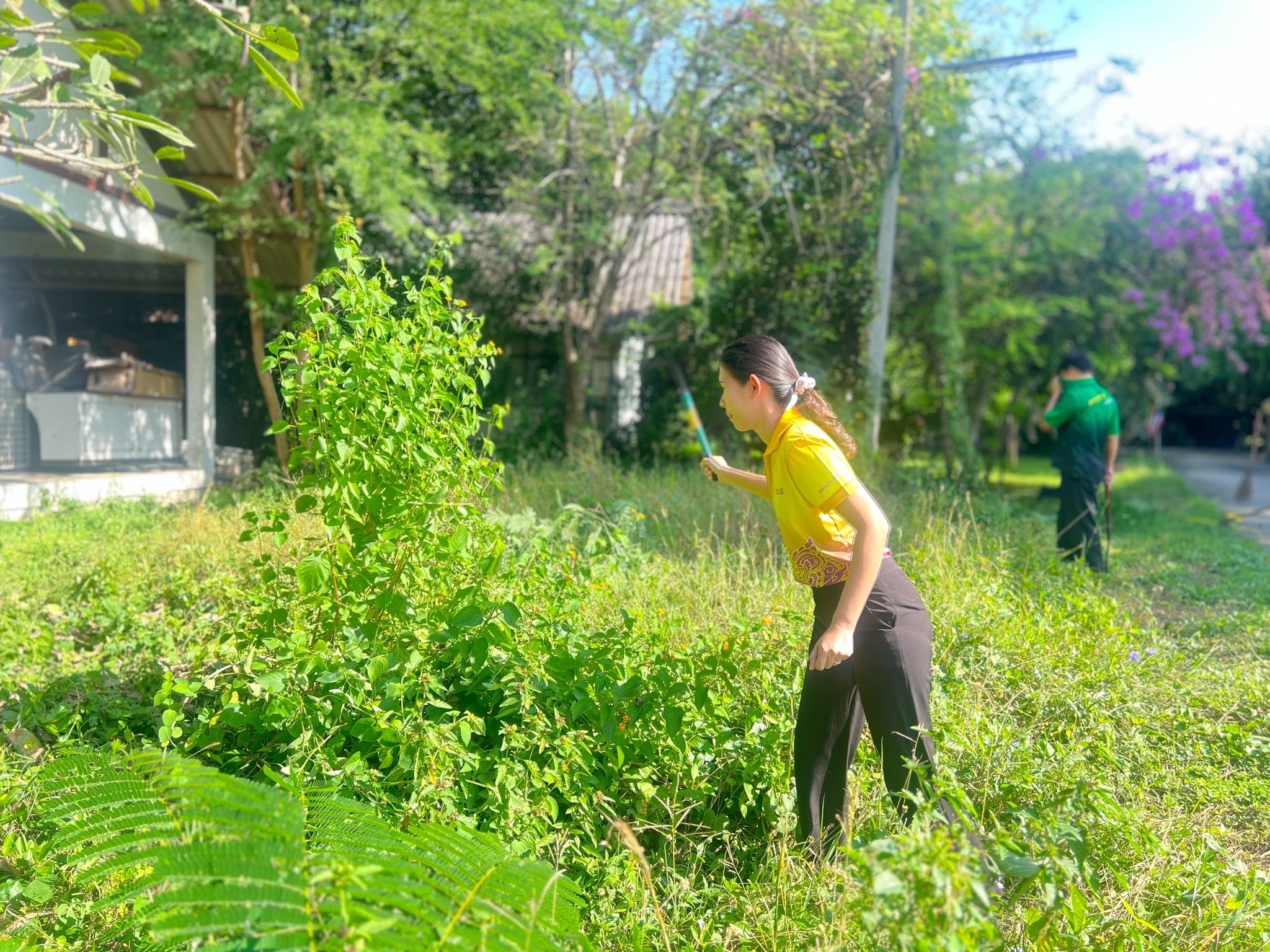 400042943 809512410975905 182732544939627528 N