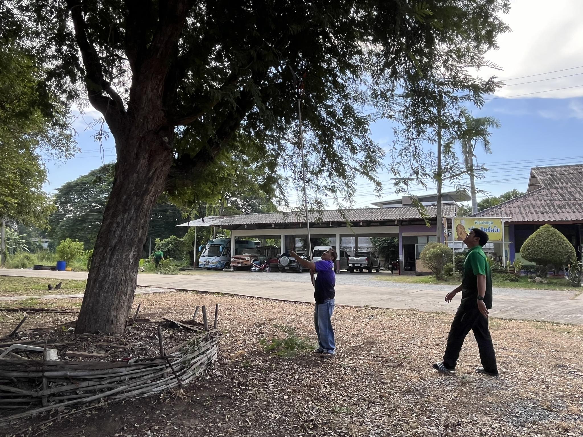 405286950 820478399879306 1687524080219220042 N