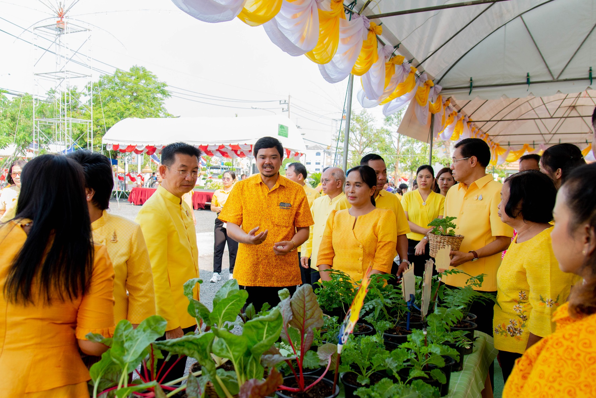 435107356 896533138940498 886924706011719094 N