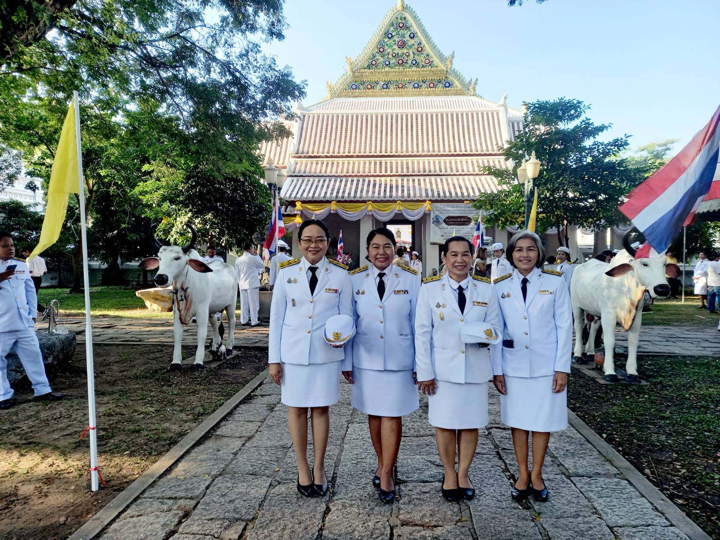 465566540 1029676742292803 6466576145695022508 N