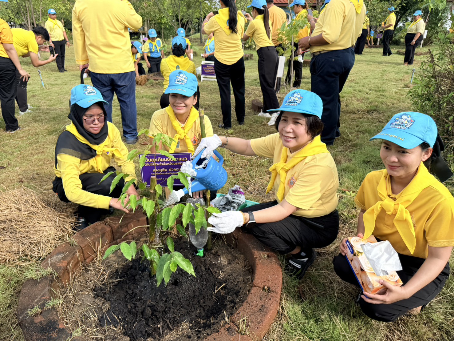 558876708 1286534273273714 266242062811372902 n